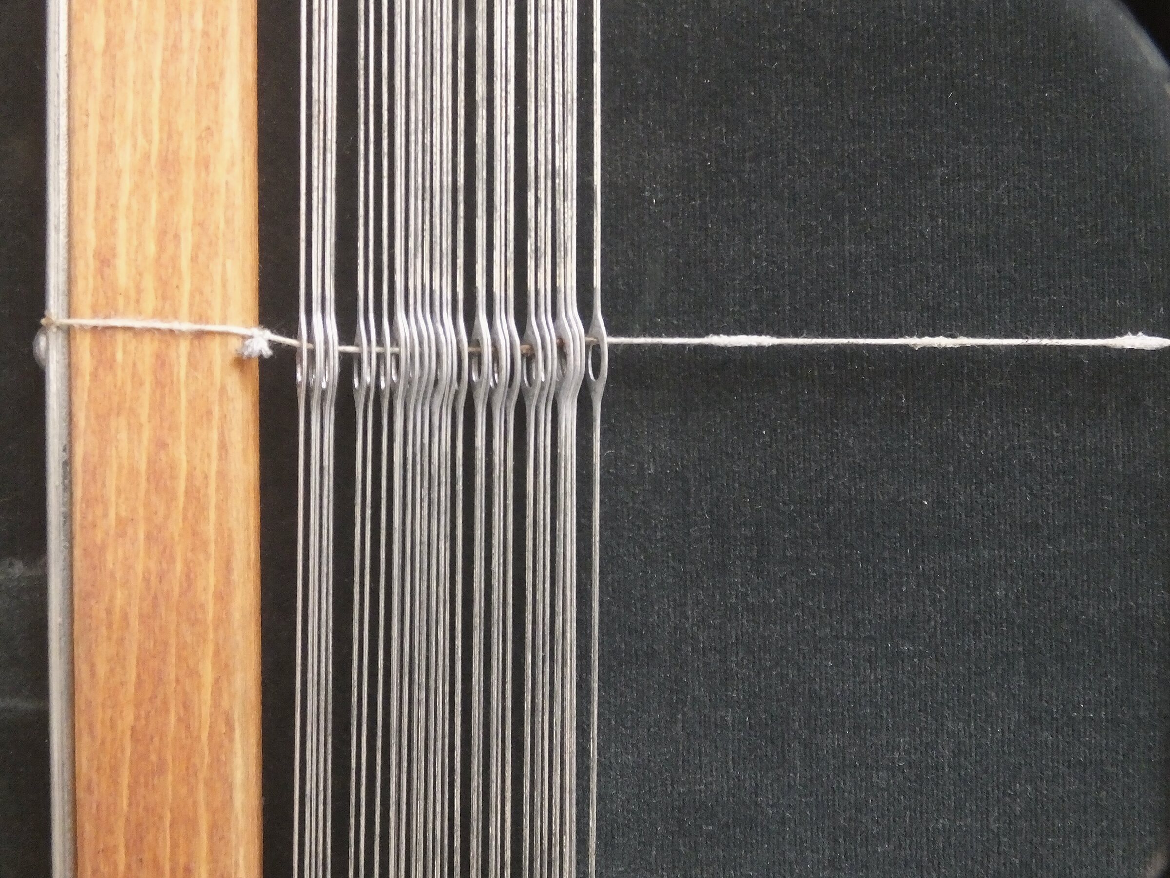 Close view of warp threads passing through the reed of a loom, a single fine cord crossing them.